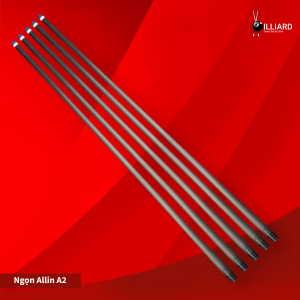 Ngọn Allin A2